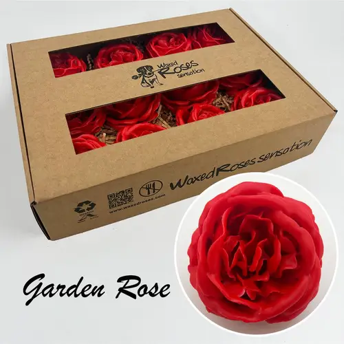 Seiden Wachs Gartenrose rot