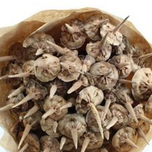 Trocken Cederbees Natur L55cm x40