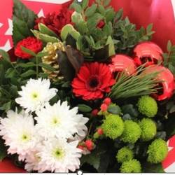 Strauß rot Germ. Weihnachten 18 Stiele 50cm