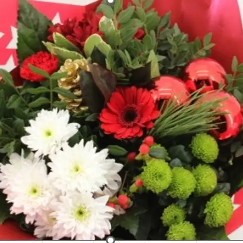 Strauß rot Germ. Weihnachten 18 Stiele 50cm