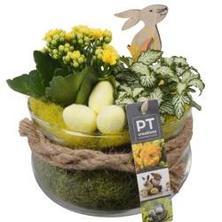 Kal.Arr PTPG9301 Ostern T16 H020