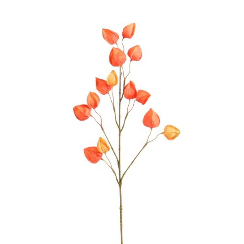 Seiden Physalis orange L76cm