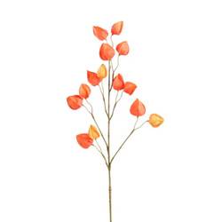 Seiden Physalis orange L76cm