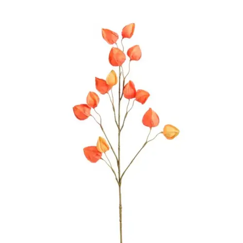 Seiden Physalis orange L76cm