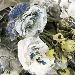 Lisianthus weiss Ice Crystal gefärbt 5+70cm