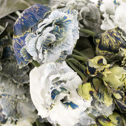 Lisianthus weiss Ice Crystal gefärbt 5+70cm