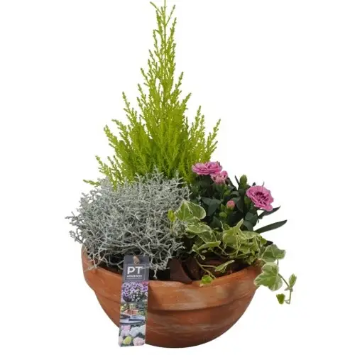 Garten.Arr PTSO8337 T23 H046