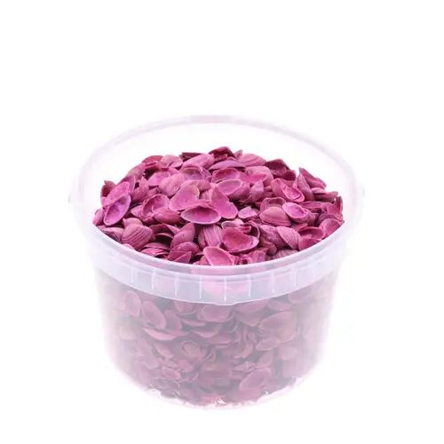 Muscheln Nordsee fuchsia 3L
