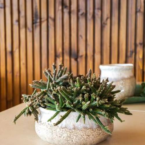 Keramik Schale Strand D20cm H09cm