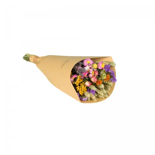 Trockenblumen Strauss Field mix L32cm