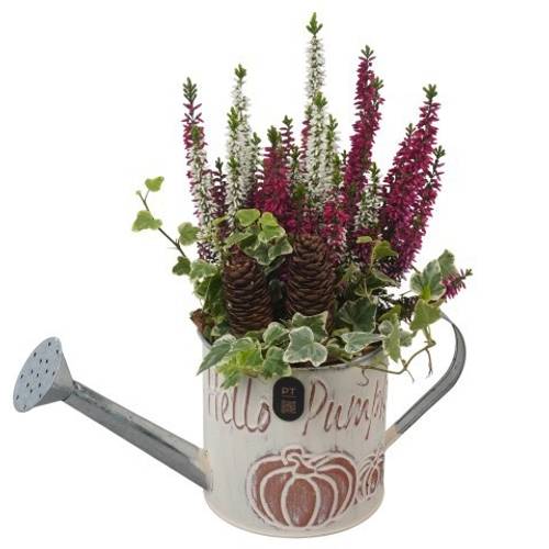 Garten.Arr PTHO7609 Herbst T12 H031