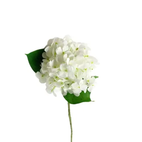 Seiden Hydrangea weiss L55cm