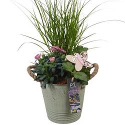 Garten.Arr PTPP6827 T15 H044