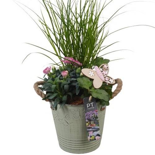 Garten.Arr PTPP6827 T15 H044