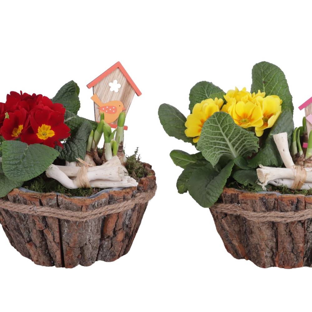 Garten.Arr mix ES620T2196 T20 H025