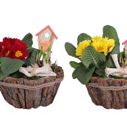 Garten.Arr mix ES620T2196 T20 H025