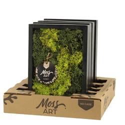 Moos.Arr D24cm 90787 T24 H024
