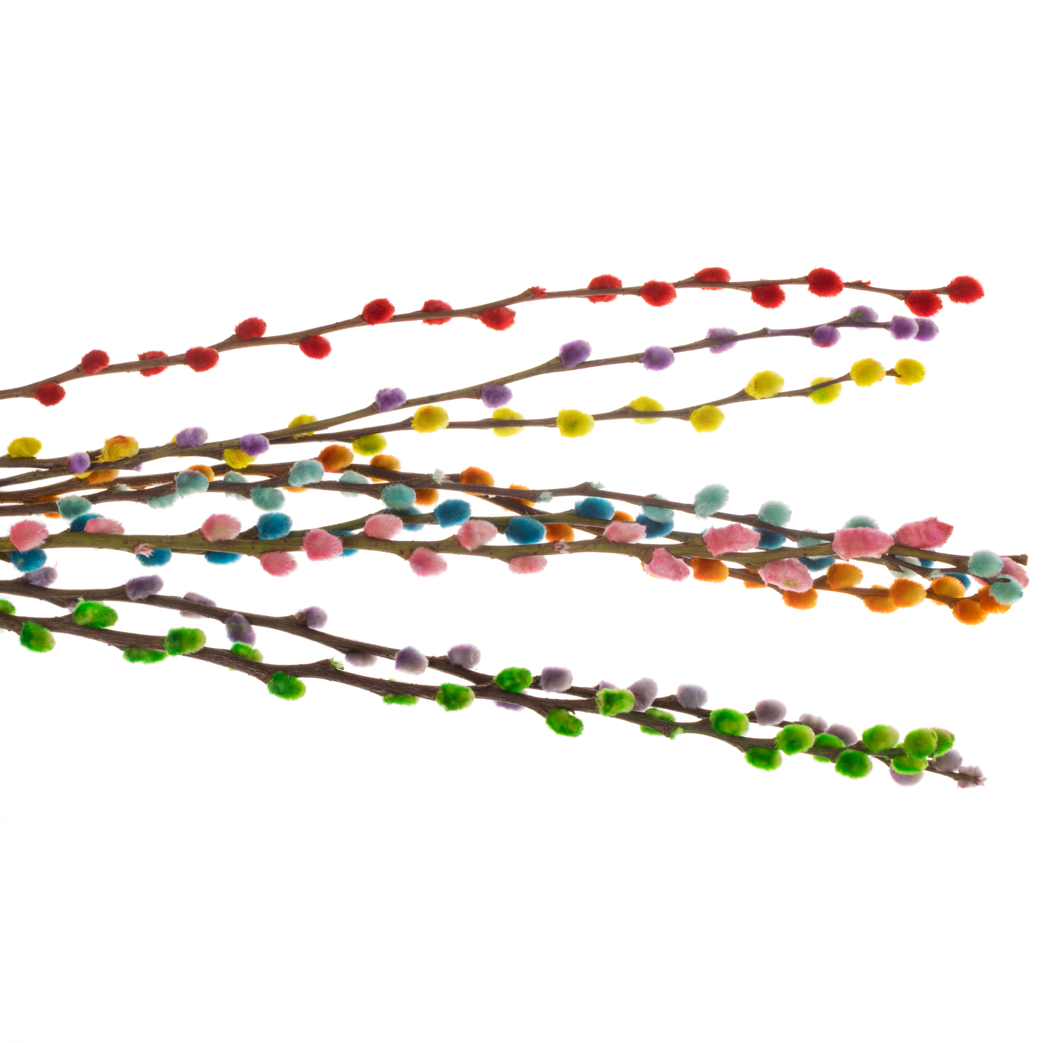 Kätzchen Pussy rainbow mix 70cm