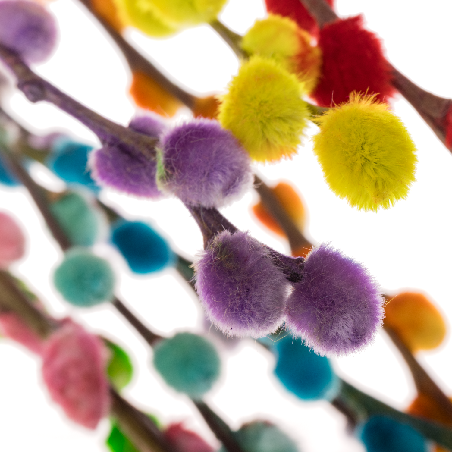 Kätzchen Pussy rainbow mix 70cm