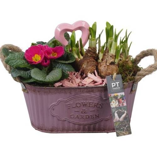 Garten.Arr PTVO3608 T24 H023