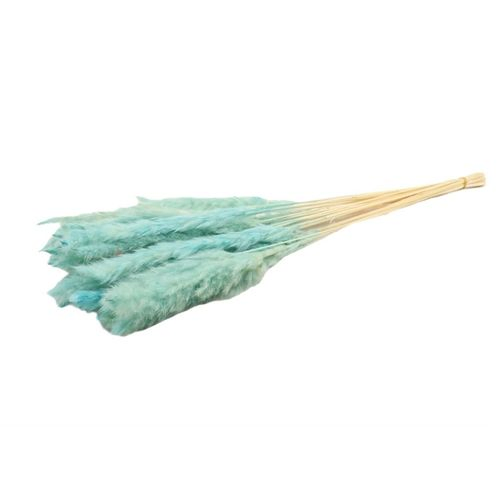 Trocken Pampasgras Fluffy hell blau 75cm