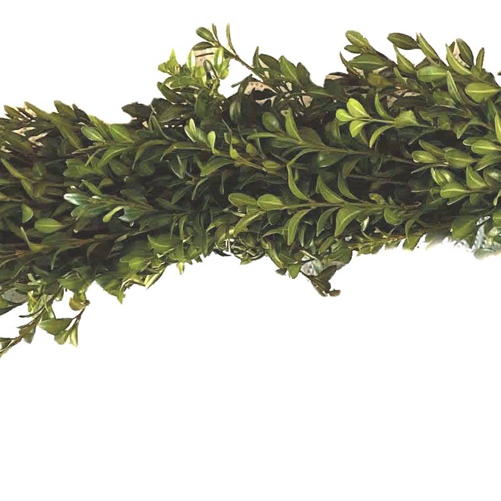 Girlande Buchs halb gebunden 1 meter