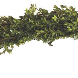 Girlande Buchs halb gebunden 1 meter