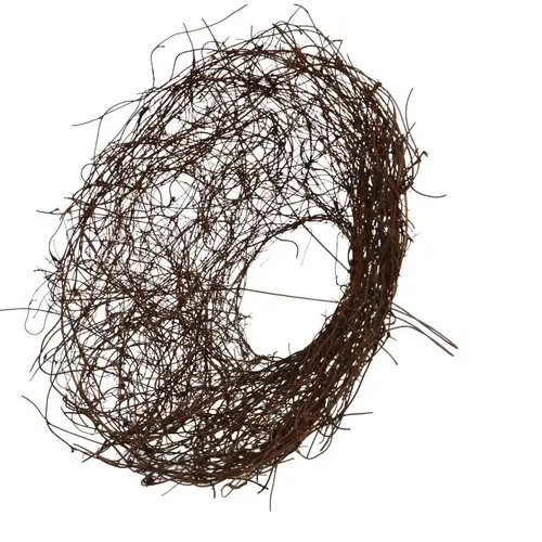 Strausshalter Mühlenbeckia d25cm	rund