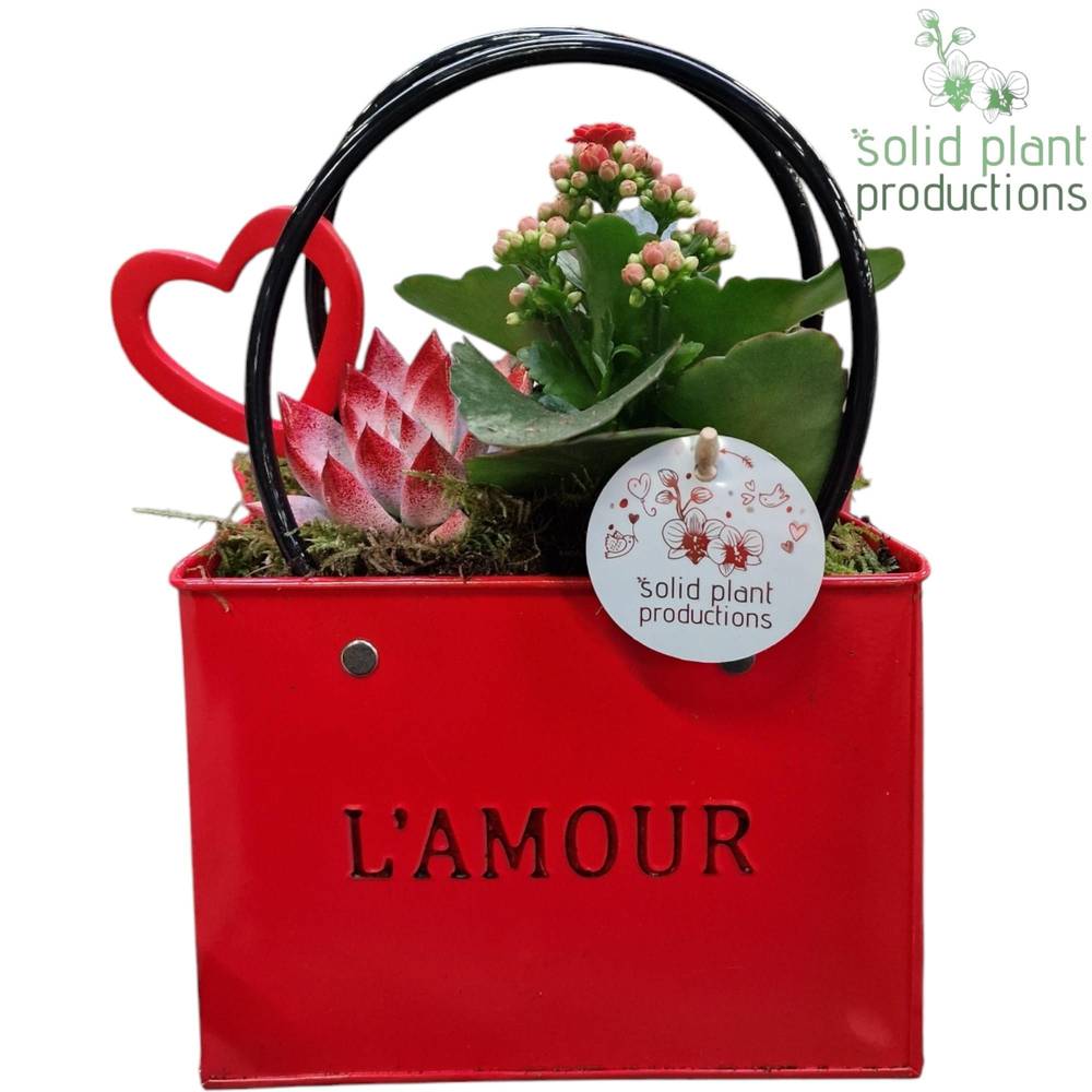 Kal.Arr Love rot ZKE001RED T18 H028