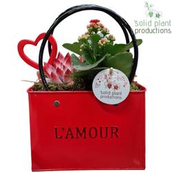 Kal.Arr Love rot ZKE001RED T18 H028