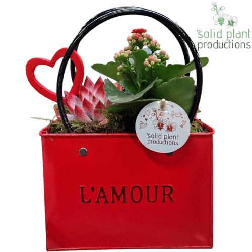 Kal.Arr Love rot ZKE001RED T18 H028