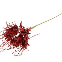 Spinnen-Nelke auf stab rot L50cm D10cm