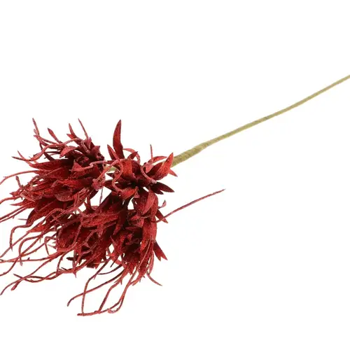 Spinnen-Nelke auf stab rot L50cm D10cm