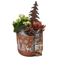 Kal.Arr PTCHB9763 Weihnachten T12 H022