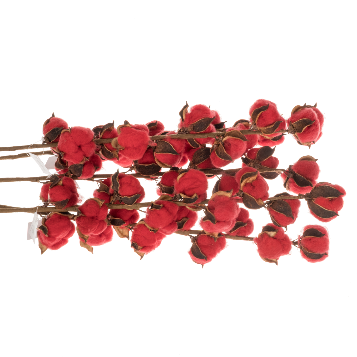 Baumwolle rot L60cm 9bl