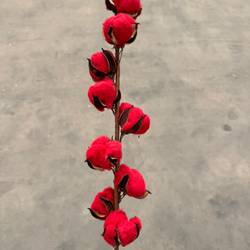 Baumwolle rot L60cm 9bl