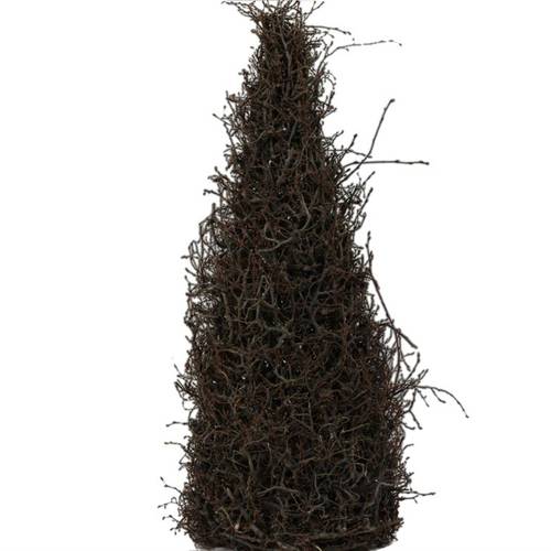 Bonsai Kegel natur D25cm H70cm