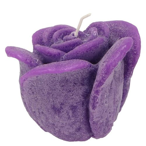 Kerze Rose dunkel lila D11cm H09cm