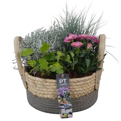 Garten.Arr PTSO8304 T21 H024