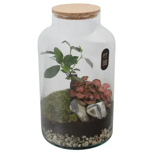 Flor.Arr PTTER8141 T18 H031