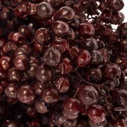 Pfeffer Berry weinrot Maroon gefärbt 150 Gramm