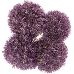 Allium dunkel lila gross Schilder x 4 80cm