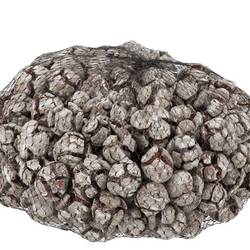 Trocken Cypresse Stonewashed 1kg