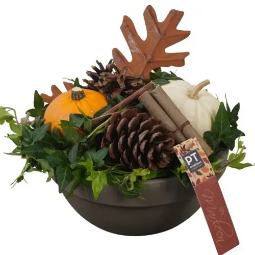 Garten.Arr PTSF8228 Herbst T19 H021