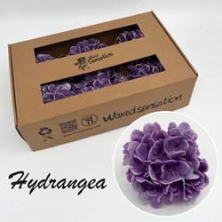 Seiden Wachs Hortensie lila