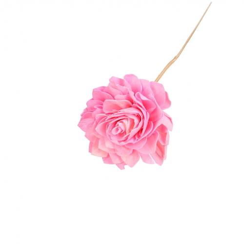 Trocken Dahlia auf Stab rosa L50cm D10cm