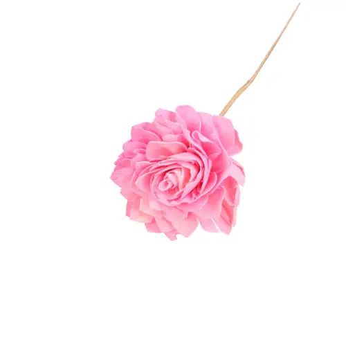 Trocken Dahlia auf Stab rosa L50cm D10cm