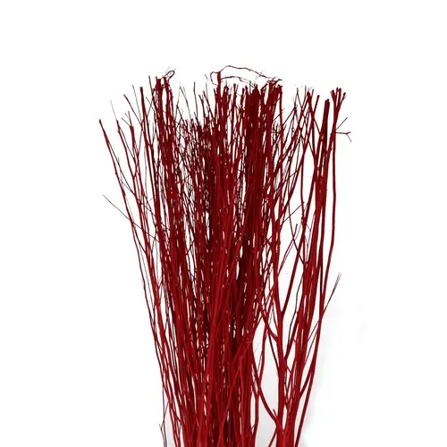 Trocken Zweig Yanagi Bunch rot L90cm 250gr