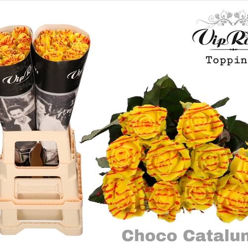 Rose wachs gelb/rot Choco Catalunya 70cm duftend