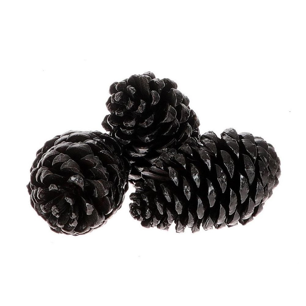 Zapfen Maritima schwarz 12cm 3st